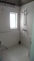 Tiong Bahru Estate (D3), Apartment #105945282